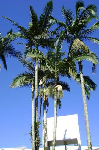 Hotel E Restaurante Rainha