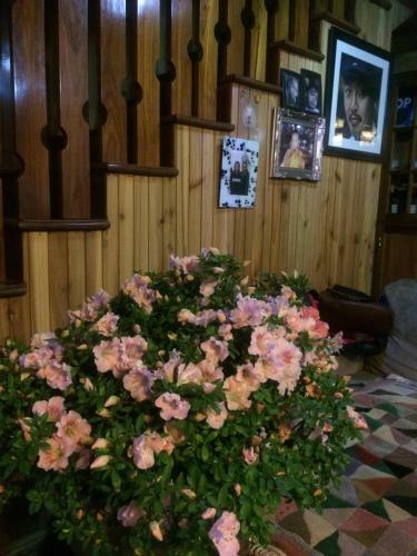 Ngawang Homestay