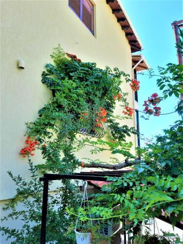 Apartamento Zefyros Studios