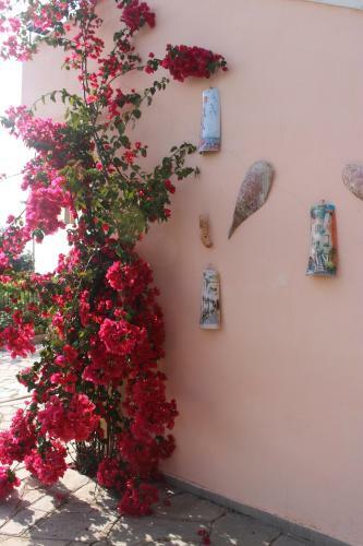 Apartamento Panorama House