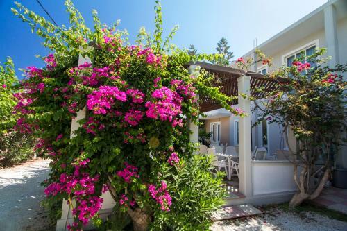 Hotel Peli