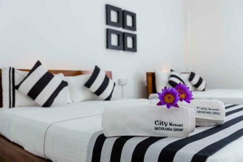 Hotel City Resort