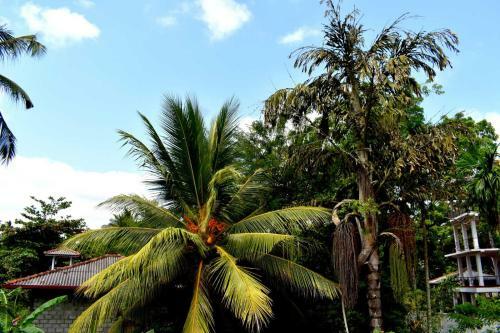 Hostal Villa Nature Park