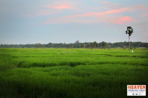 Bed & Breakfast Heaven Upon Rice Fields