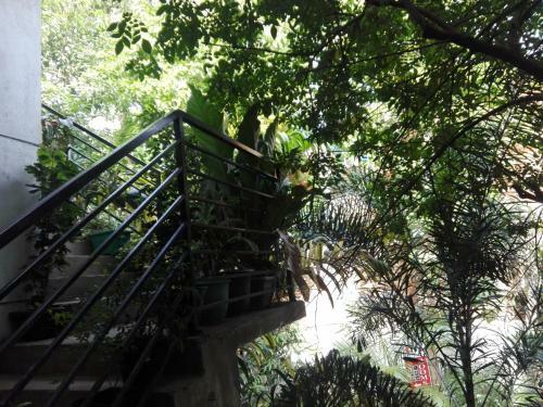Bed & Breakfast Sacred City Tourist Resort