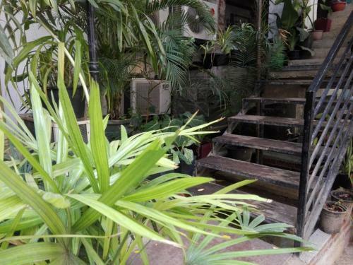 Bed & Breakfast Sacred City Tourist Resort