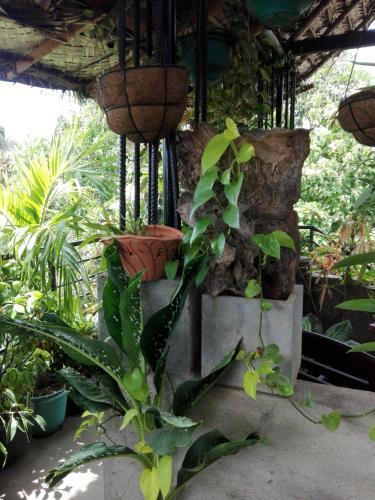Bed & Breakfast Sacred City Tourist Resort