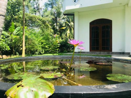 Hostal Villa Sureka