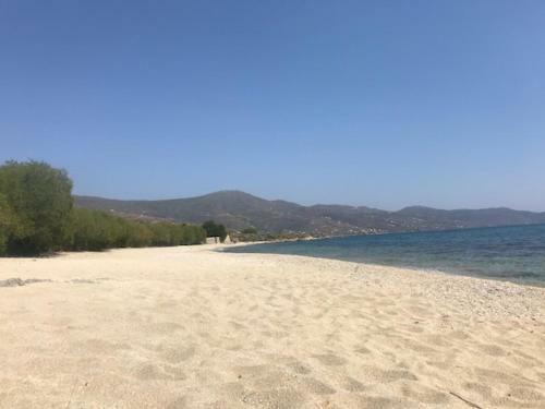 Apartamento Karystos Muse