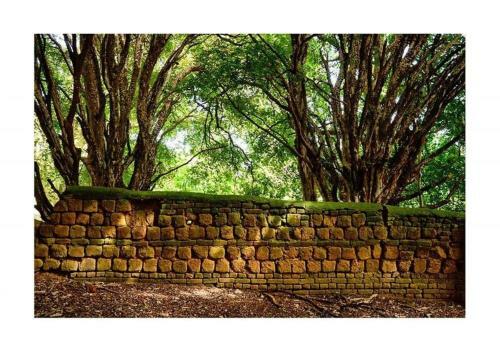 Agroturismo Pousada Fazenda Das Bicas