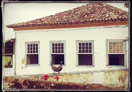 Agroturismo Pousada Fazenda Das Bicas