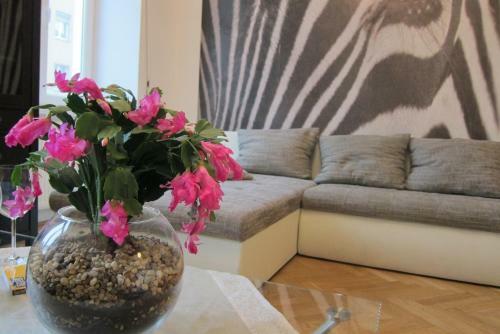 Apartment Agnes