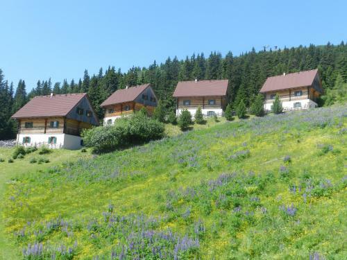Almh�tten Moselebauer