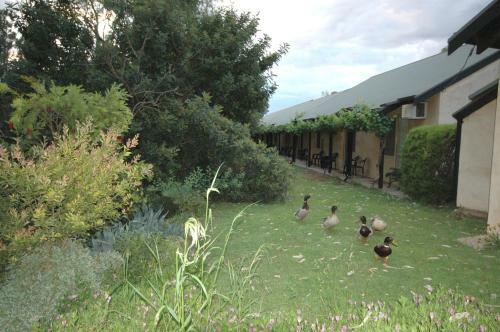 Burra Motor Inn