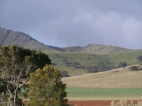 Burra Motor Inn