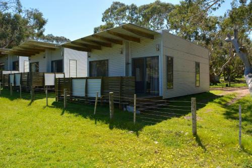 Bimbi Park - Camping Under Koalas