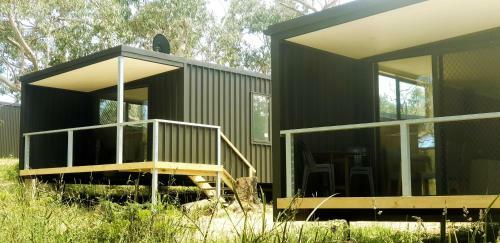 Bimbi Park - Camping Under Koalas