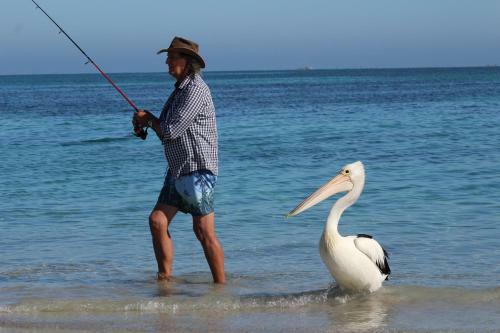 Villa Ceduna Foreshore Caravan Park