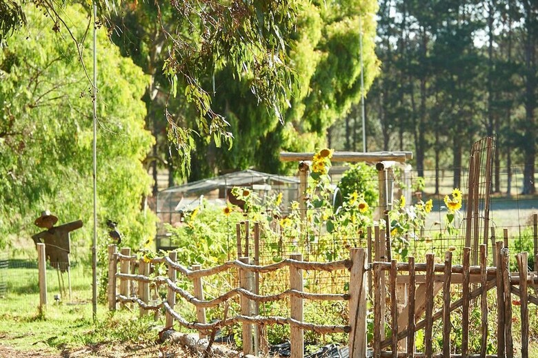 Olio Bello Lakeside Glamping
