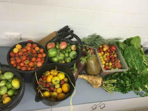 Apartamento Coonawarra Cabins Unit D