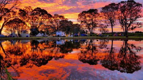 Apartamento Coonawarra Cabins Unit D
