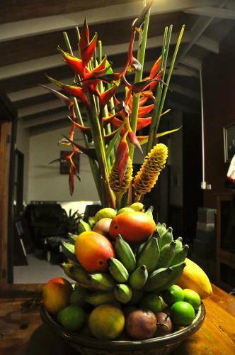 Tropical Bliss Bed And Breakfast