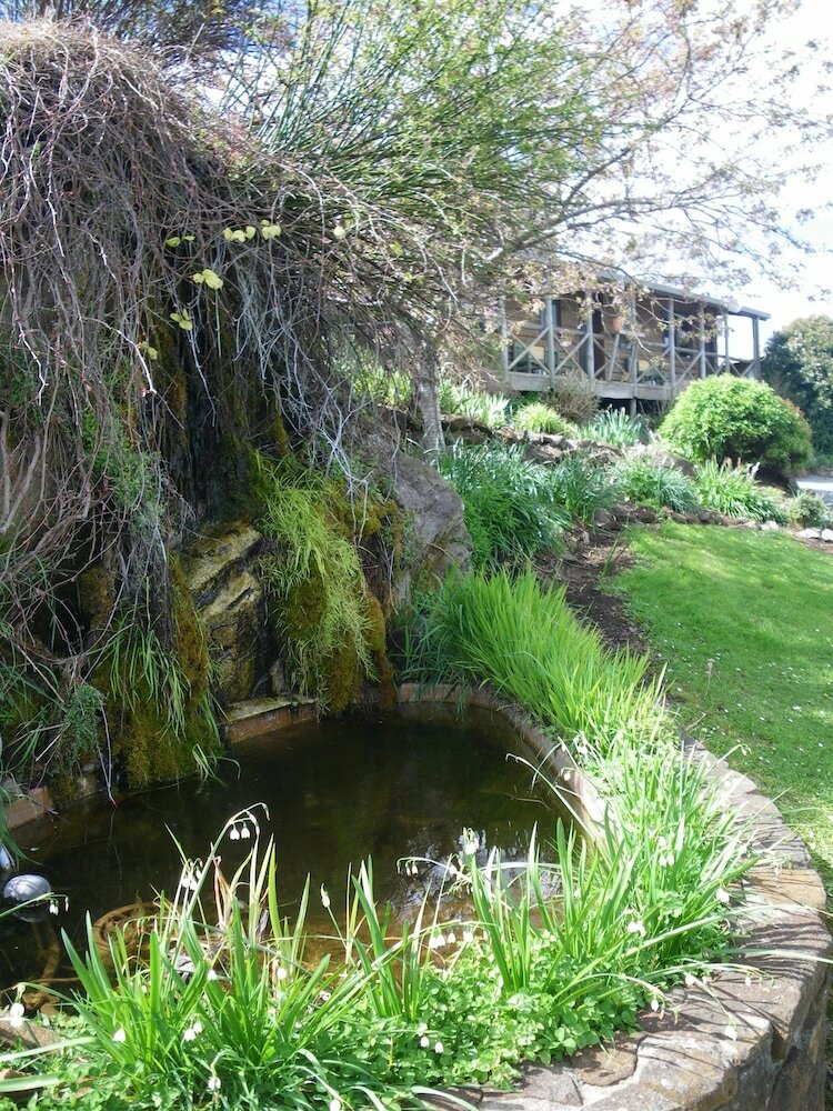 Mole Creek Cabins