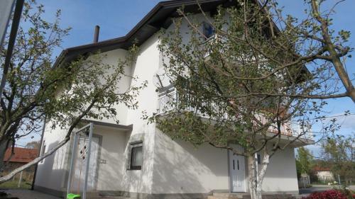 Hostal Guesthouse Denis