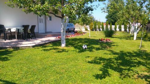 Hostal Guesthouse Denis