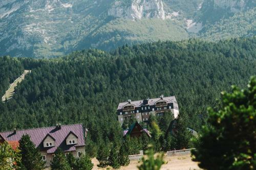 Apartments Bosco