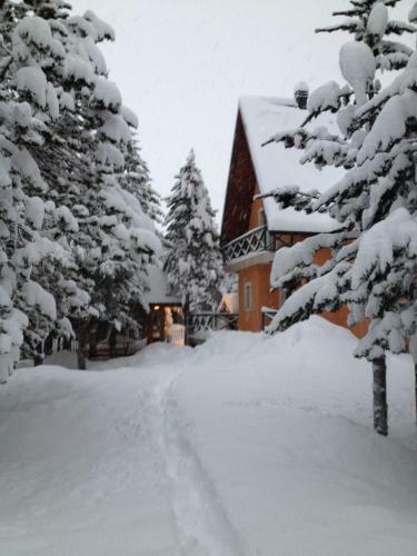 Vikendica Borna