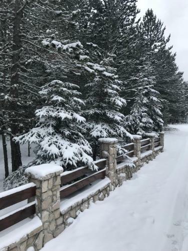 Vikendica Borna