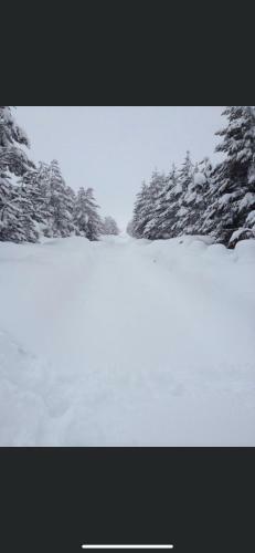 Vikendica Borna