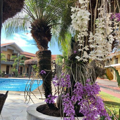 Hotel Roda D'agua
