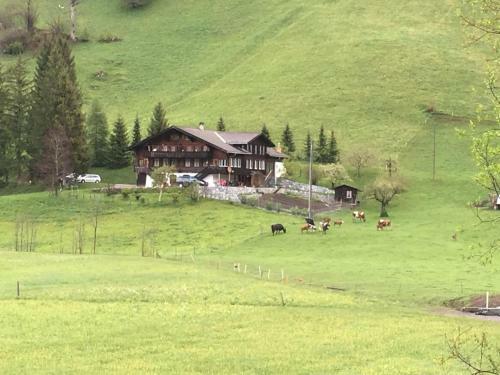 Apartment Chalet Lerchweid - 1. Stock Links