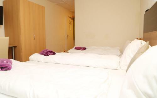 Hotel Lakeview