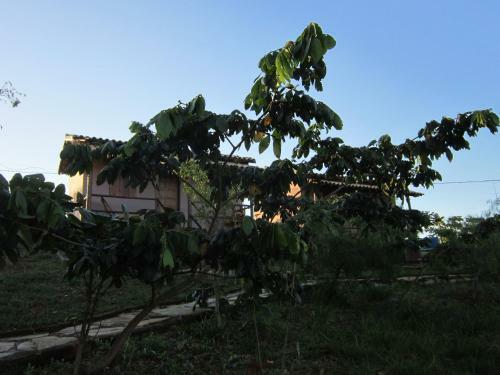 Hostal Catagu�s Brasil Pousada E Grill