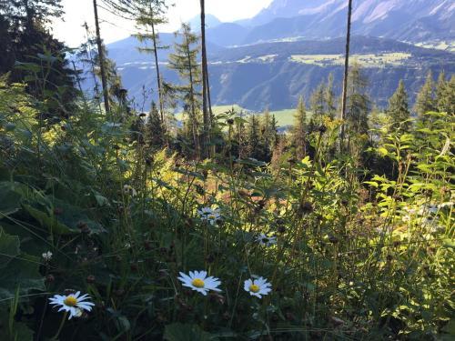 Apartamento Ferienwohnung Schladming Planai Mitte - [#59219]