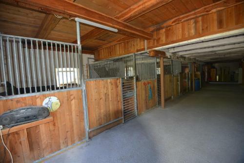 Apartamento Pirkerhof