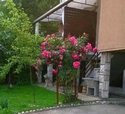 Apartment Charming Home