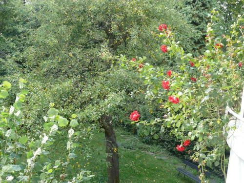 Bed & Breakfast Chez Olivia Et Pascal