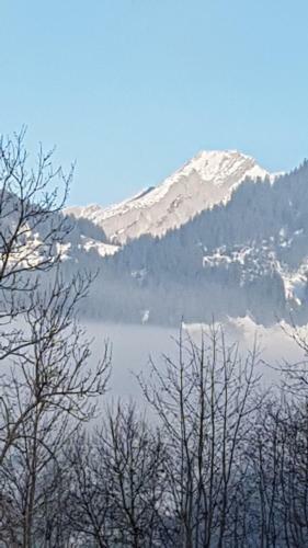 Apartamento Enzian Chalet