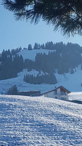 Apartamento Enzian Chalet