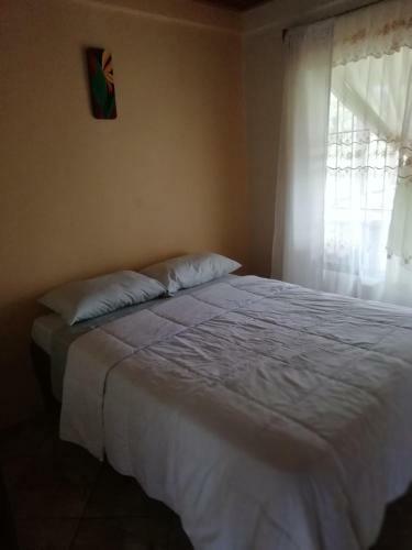 Caba�a Arenal View #3