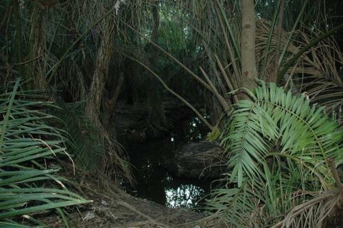 Bed & Breakfast Pantanal Ranch Meia Lua