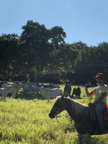 Bed & Breakfast Pantanal Ranch Meia Lua