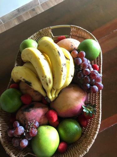 Bed & Breakfast Pantanal Ranch Meia Lua