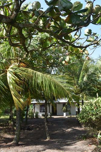 Hostal Casa Turtle Bogue