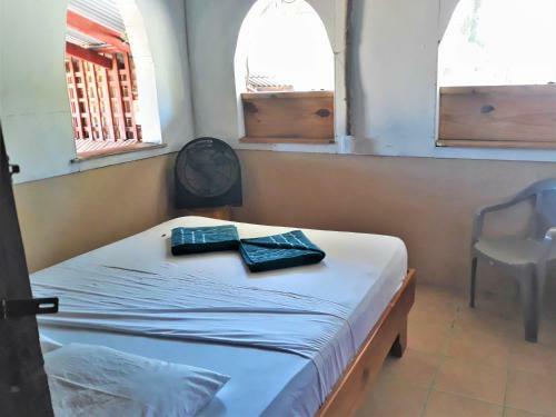Hostal Surf House Pavones