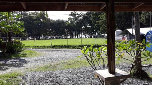 Hostal Surf House Pavones